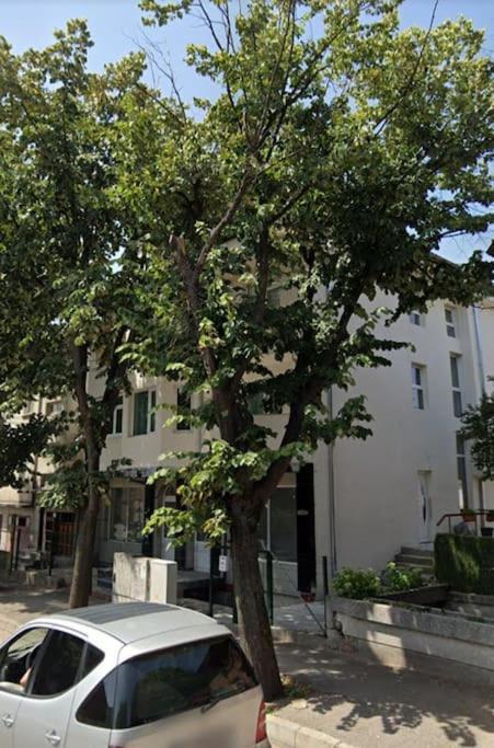 White House Apartments 파스코보 외부 사진